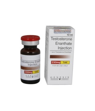 Testosterone Enanthate, Genesis 10 ML [250mg/1ml]