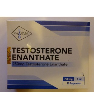 Testosterone Enanthate, Pharma Lab 10 amps [250mg/1ml]