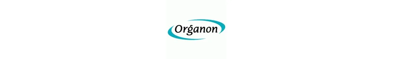 Organon